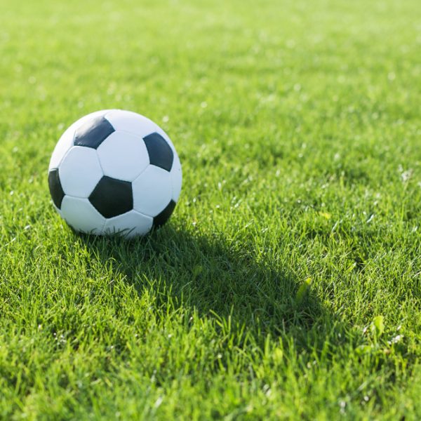 football-grass-with-shadow