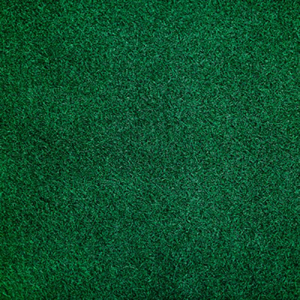 Carpet Grass 地毯草